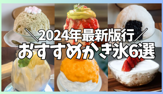 2024年新作‼東京で食べれるおすすめのかき氷専門店を紹介します!!