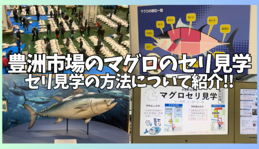 豊洲市場のマグロのセリ見学のレビュー。事前予約は必要？何時に行けばいい？マグロセリ見学をする方法についてご紹介ッ。