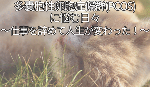 不正出血・生理不順で悩む日々。仕事を辞めて人生が変わった！話。不正出血/生理不順/多嚢胞性卵胞症候群/PCOS