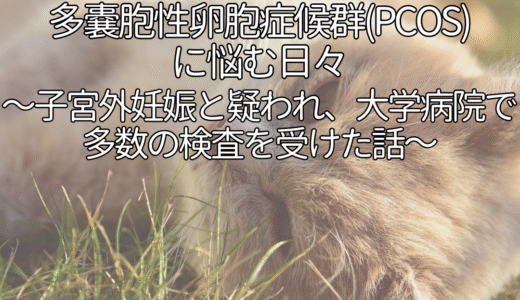 不正出血・生理不順で悩む妊活アラサーの体験談。子宮外妊娠と疑われ、大学病院で多数の検査を受けた話。不正出血/生理不順/多嚢胞性卵胞症候群/PCOS/流産