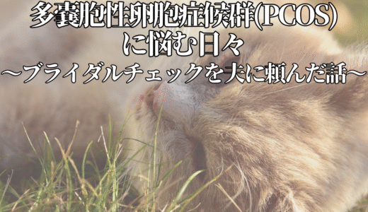 生理不順・不正出血・多嚢胞性卵胞症候群(PCOS)に悩む日々。男性のブライダルチェックを夫に頼んだ話。