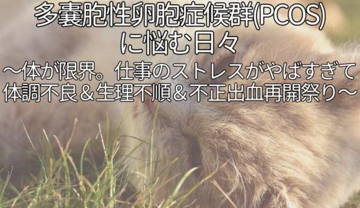 体が限界。仕事のストレスがやばすぎて体調不良＆生理不順＆不正出血再開祭り。婦人科に行ったら多嚢胞性卵胞症候群/PCOSといわれました。