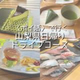 【山梨観光】全部おすすめ！〈ポイ活〉で行く山梨県日帰りドライブコース🚗💨 日帰りでも120%満喫できる「おすすめ観光スポット」を紹介！観光費用まとめ💰｜忍野八海｜森の中水族館｜FUJIMI CAFE｜とらや工房｜御殿場アウトレット